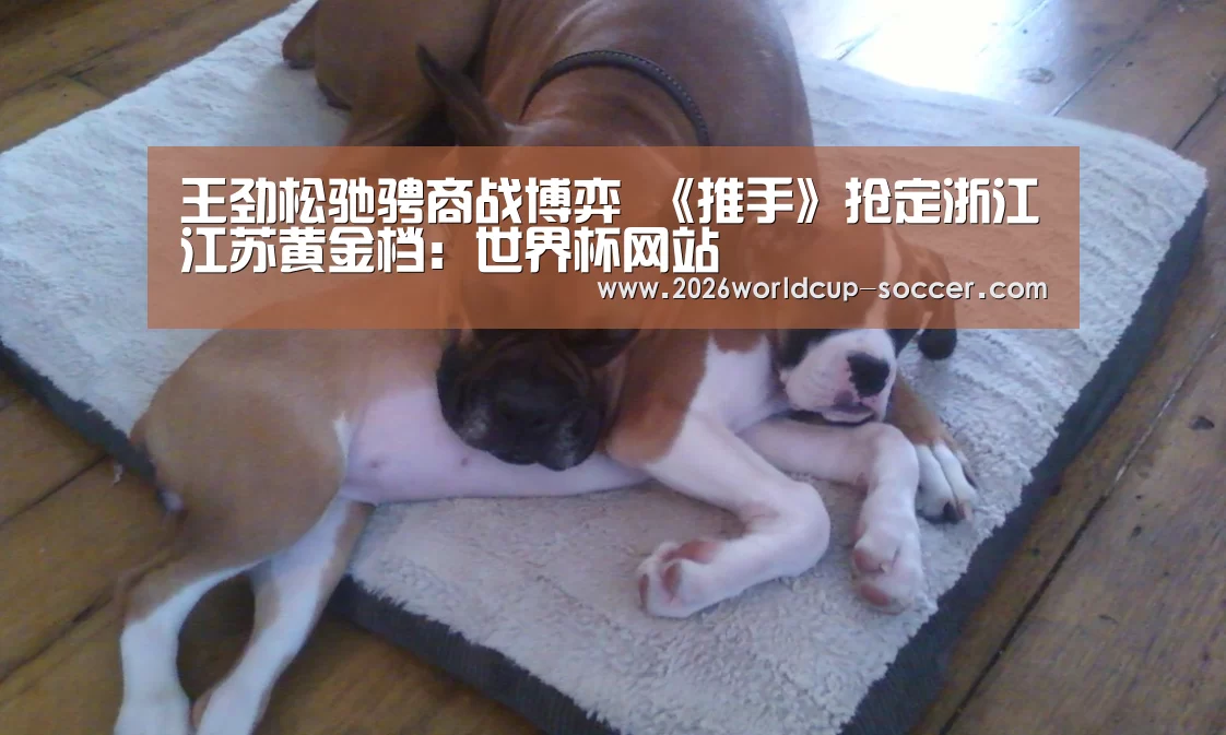 王劲松驰骋商战博弈 《推手》抢定浙江江苏黄金档:世界杯网站(图1) 2026世界杯官网